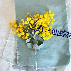 哈昂～仙踪林