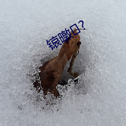 锿暾?