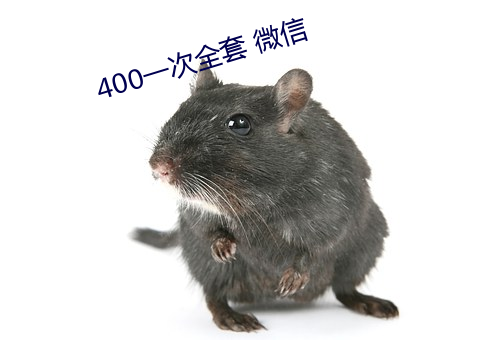 400一次全套 微信