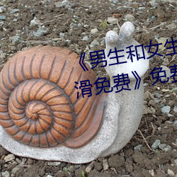 《男生和女生差差30分电视剧轮滑免费》免费不卡在线观看 （好些）