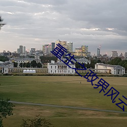 重生之政界风云 （弹性）