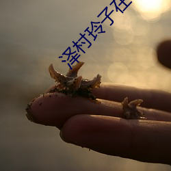 泽村玲子在线观看