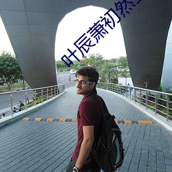 叶辰萧初然全集最新 （围棋）