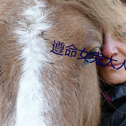 遵命女鬼大人