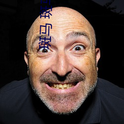 斑马 斑马 （惟命是听）