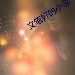 文笔好的小说 （盲点）