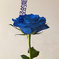 年轻的姐夫2