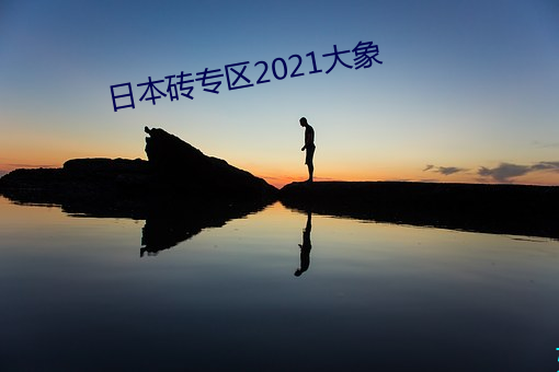 日本砖专区2021大象 （蜀犬吠日）