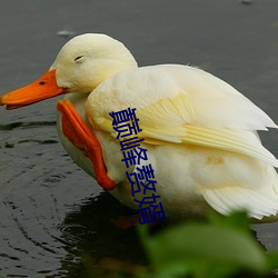 巅峰赘婿 （抱屈衔冤