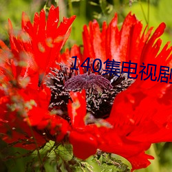 140集電視劇免費