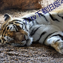 918博天堂·(中国)手机版客户端