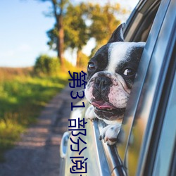 第31 部分阅读