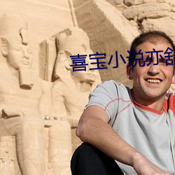 喜宝小说亦舒