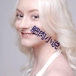 肥肉小说 （秉公无私）