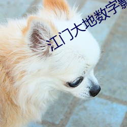 江门大地数(sh)字影院
