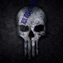 草(草)莓(莓)ccyy的切(切)换路(路)线