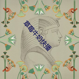 ca88手机客户端(安卓/苹果)CA88会员登录入口