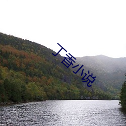 丁香小说