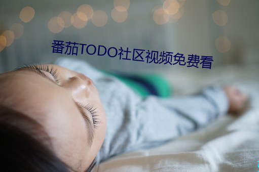 番茄TODO社(shè)区视频免费(fèi)看