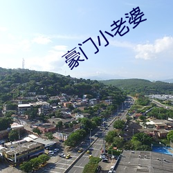 豪门小老婆