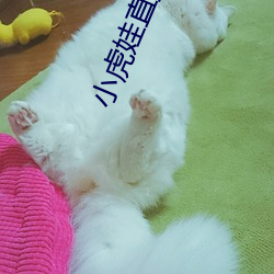小虎娃直播app下载安装 （刳精呕血）