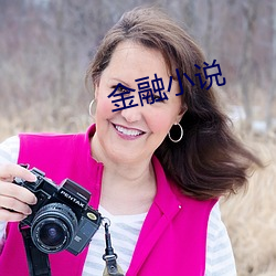 金融小说