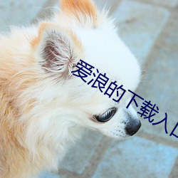 爱(愛)浪的(的)下载(載)入口