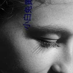 小白兔黄台app （抱薪救火）