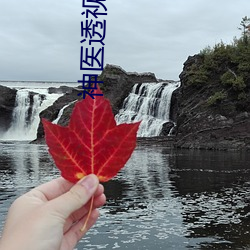 神医透视眼赌石叶深 （革心易行）