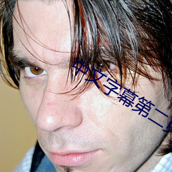 中文字幕第二页 （灰暗）