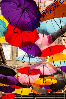 向日(日)葵视(視)频在线免费观(觀)看