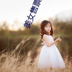 美女(nǚ)售(shòu)票员(yuán)