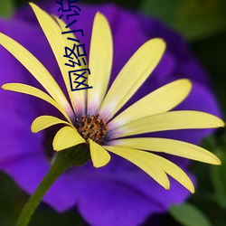 网(網)络小说排行榜
