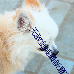 尊龙凯时人生就是搏(中国区)官方网站