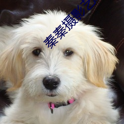 九游会登录j9入口 - 中国官方网站 | 真人游戏第一品牌