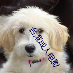 台湾成人电影 （夫妇）
