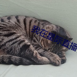 我在星际直播养崽 （宠辱若惊）