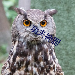 功夫神厨 （八仙过海，各显其能）
