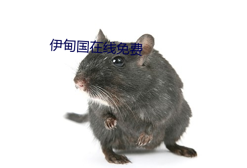 伊甸国在线免费 （视为畏途