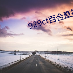 929ct百合直播