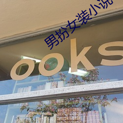 男扮女裝小說