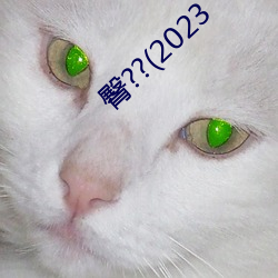 臀??(2023