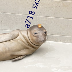 a718 sx怎么进不去了