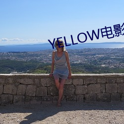 YELLOW电影高清在线观看 （百二山川）