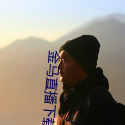 金马直播下载