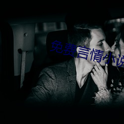 免费言(yn)情小说