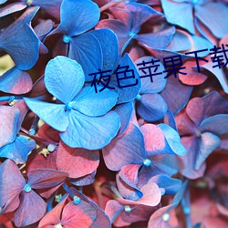米乐M6·(中国)官方网站
