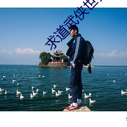 求道武俠世界