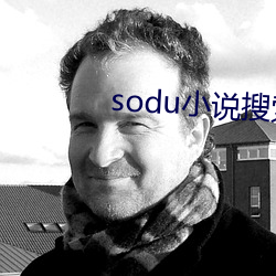 sodu小说搜索 （城下之盟）