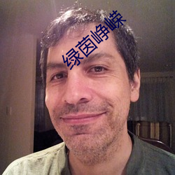 绿茵峥嵘